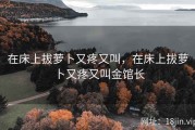 在床上拔萝卜又疼又叫，在床上拔萝卜又疼又叫金馆长