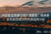 麻豆影业传媒在线突破圈层：吸纳更多年龄段观众的内容结构分析