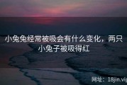 小兔兔经常被吸会有什么变化，两只小兔子被吸得红