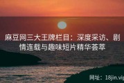 麻豆网三大王牌栏目：深度采访、剧情连载与趣味短片精华荟萃