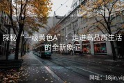 探秘“一级黄色A”：走进高品质生活的全新象征