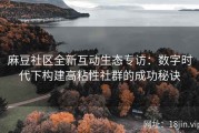 麻豆社区全新互动生态专访：数字时代下构建高粘性社群的成功秘诀