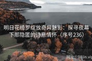 明日花绮罗绽放奇异魅影：探寻夜幕下那隐匿的诗意情怀（序号236）