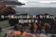 有一个黄app和抖音一样，有个黄app和抖音差不多