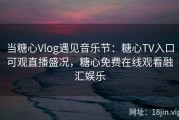 当糖心Vlog遇见音乐节：糖心TV入口可观直播盛况，糖心免费在线观看融汇娱乐