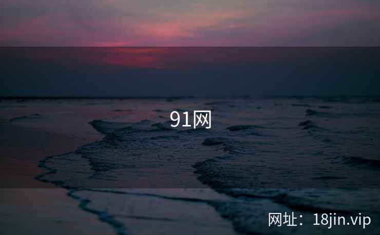 91网