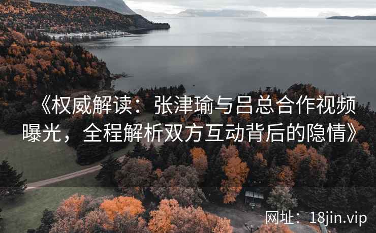 《权威解读：张津瑜与吕总合作视频曝光，全程解析双方互动背后的隐情》
