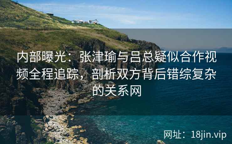 内部曝光：张津瑜与吕总疑似合作视频全程追踪，剖析双方背后错综复杂的关系网