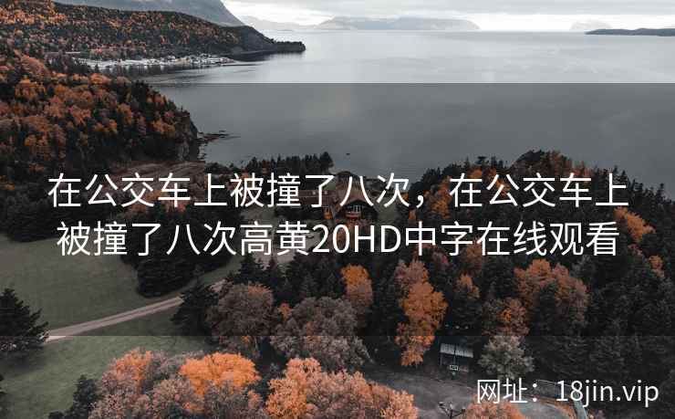 在公交车上被撞了八次，在公交车上被撞了八次高黄20HD中字在线观看